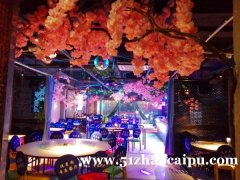 紫阳大道新立方附近音乐餐饮转让，日营业6千
