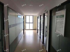 南京东路多所学校围绕的培训机构转让，客源稳定