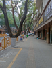 旺铺招租，一楼20平，二楼400平，已简装可办公