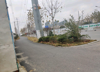 图片文字详细，请大仙考虑考虑呗