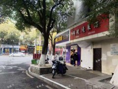 新建大道临街底商旺铺出租，周边小区居民多，免租到5月