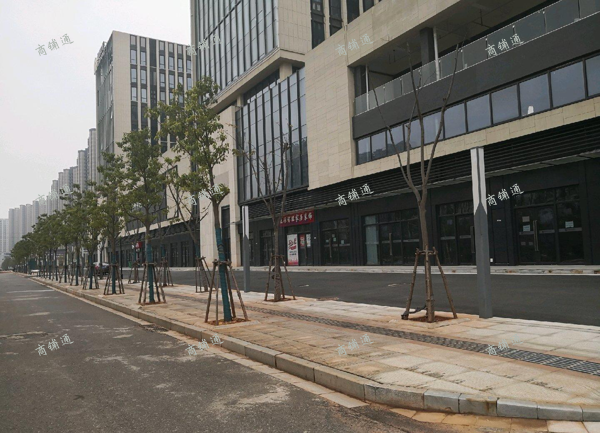 九龙大街绿地博览城邻街209平上下两层旺铺出租