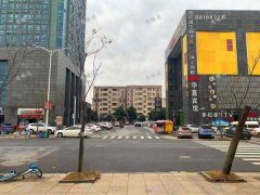天祥大道奥体中心地铁站旺铺出租，可分租，330平方