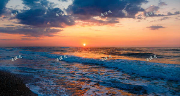 出租西湖区广场南路商业街店铺