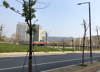 低价出租湾里区幸福嘉苑临街门面（靠旅游景区环境优美)