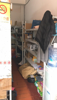 转让青山湖区蛟桥商业街店铺菜鸟驿站转让