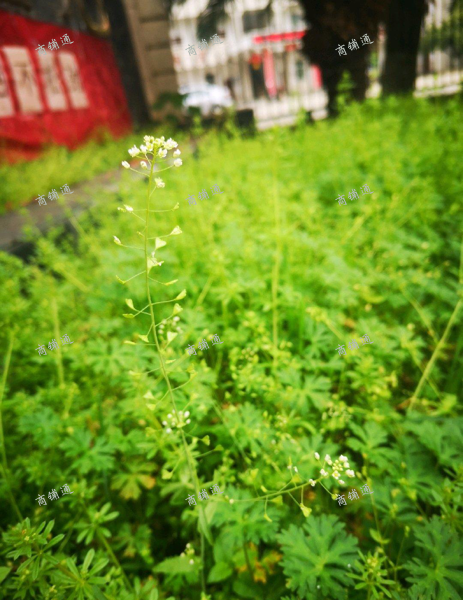 临街旺铺，房主直租，非诚勿扰