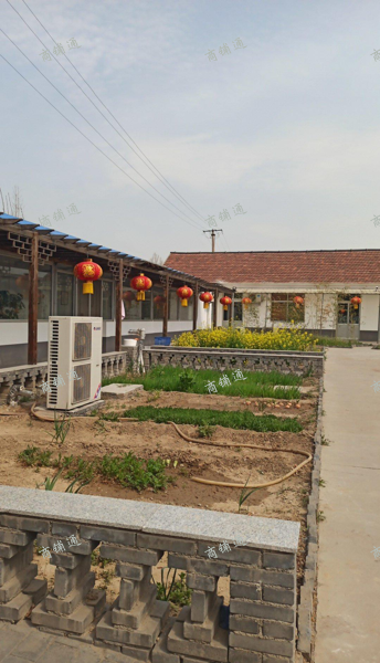 餐饮快餐酒店烧烤火锅店野菜