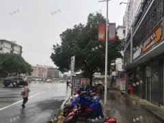 长堎公交车站旁包大人包子店转让，日营业2000