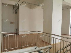 张店润德大厦沿街商铺对外首次出租全新装修