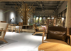 猫咖，咖啡厅，花店，宠物店，书店，主题店，摄影