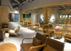 猫咖，咖啡厅，花店，宠物店，书店，主题店，摄影