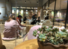 猫咖，咖啡厅，花店，宠物店，书店，主题店，摄影