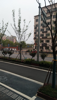 新建区二中对面旺铺转让