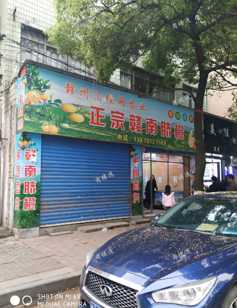 文教路夜市街旺铺招租