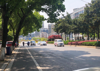 红谷滩丰和中大道成熟店铺，可做各个行业