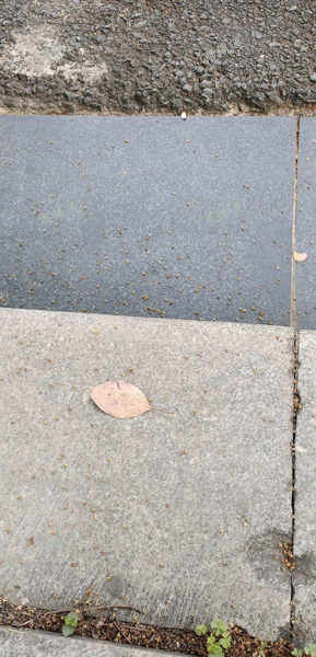 寻找卖菜或者卖水果的合作伙伴们！我是开超市的