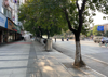 南京西路恒茂城市花园