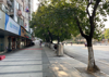 南京西路恒茂城市花园