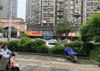 文教路-子实路378号！