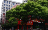 出租西湖区广场南路临街门面