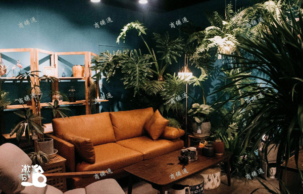 (转让) 招募店铺合伙人，非转让