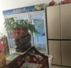 (转让) 店面转价格可以面谈有意可以过来看