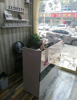 (转让) 西关国梁烤鸡美甲店忍痛转让可空转，费用低 位置显眼 空转