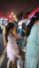 (转让) 五星网红夜市，人流量非常大