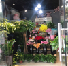 (转让) 生意扩大经营，盈利花店转让，接手即可营业