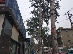 柳泉路市府西一街沿街一楼空铺房东直租