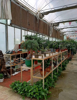 (转让) 营业中绿植花卉店 低价转让