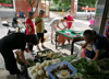 (转让) 黄屋坪路蔬菜店带客源转让