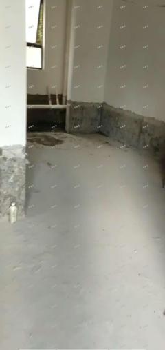 九龙湖绿地国际博览城二期旺铺招租，小区门口第一家