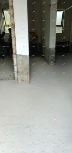 九龙湖绿地国际博览城二期旺铺招租，小区门口第一家