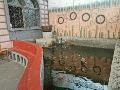 临淄闫家别墅区餐饮店整体转让，装修到位,环境优美