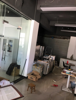 (出租) 公司搬新 原办公室转租