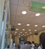 (出租) 奶茶旺铺转让 红谷滩区