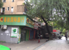 (出租) 此店面位于解放西路临街店面，上海路住宅小区中道大门口。