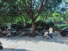 开发区赣南建材市场临街旺铺招租  空置中