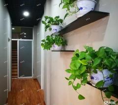 因经营工厂精力有限，营业中瑜伽馆对外转让