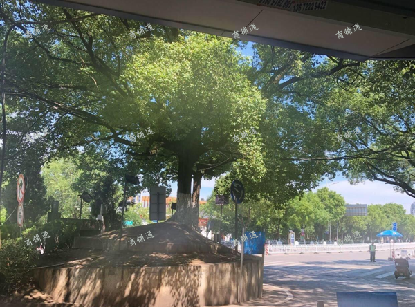 (转让) 澄碧湖入口转租