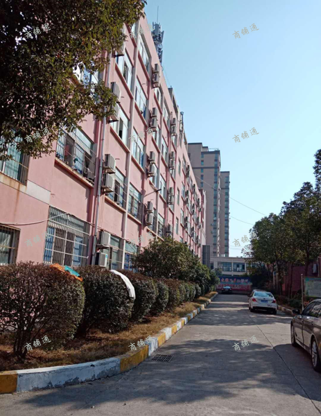 (出租) 全封闭学校食堂出租，非中介