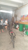(出租) 属私人店铺，尊纪守法无纠纷店面旺铺