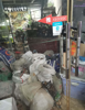 (出租) 出租东湖二七路临街门面