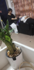 (转让) 营业中的旺铺急转！急转！非诚勿扰
