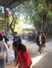 (转让) 现经营是农庄经营，如果你有意向可以来农庄光看