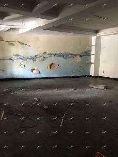 红都大道十字路口嘉福尚江尊品商铺 转让