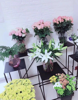 (转让) 花店写字楼配套生意转让