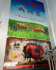 (转让) 合同还有4年多，房东好沟通！